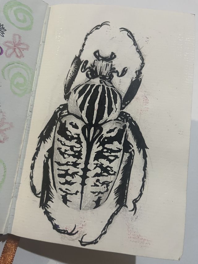 Ink sketchbook study of a goliath beetle.