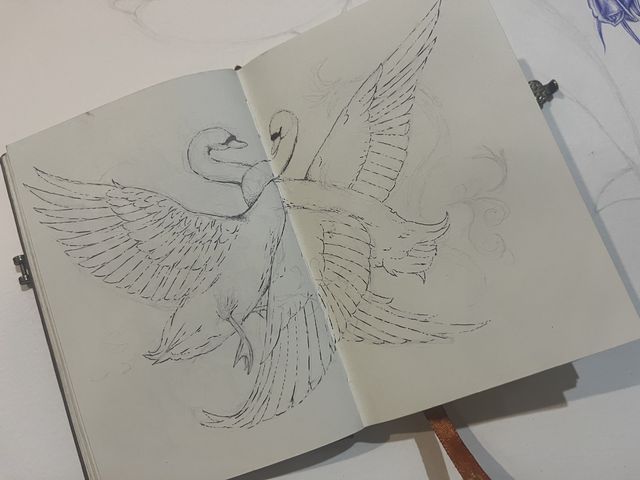Sketchbook spread of two swans with spread wings.