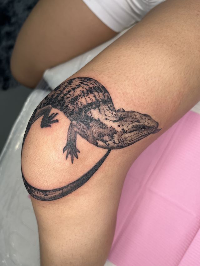Black and grey gecko wrapped over a knee.