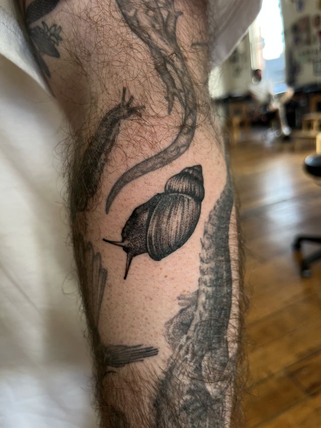 Black and grey snail crawling along a forearm.