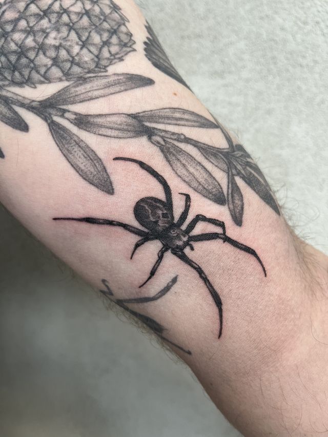 Black and grey spider hanging beneath leafy plants, on an arm.
